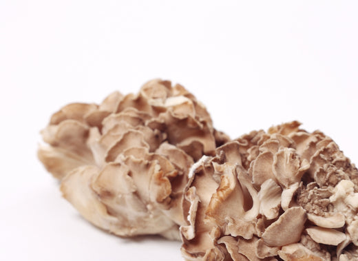 Discover the Power of Multi Mushroom Supplements