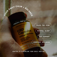 Hand holding a bottle of CBD capsules with text about its benefits.