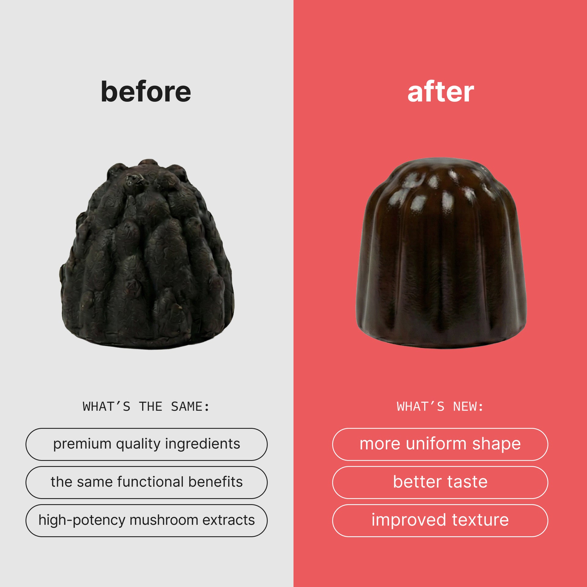 Lion's Mane Mushroom: Energy & Focus Gummies