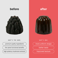 Lion's Mane Mushroom: Energy & Focus Gummies