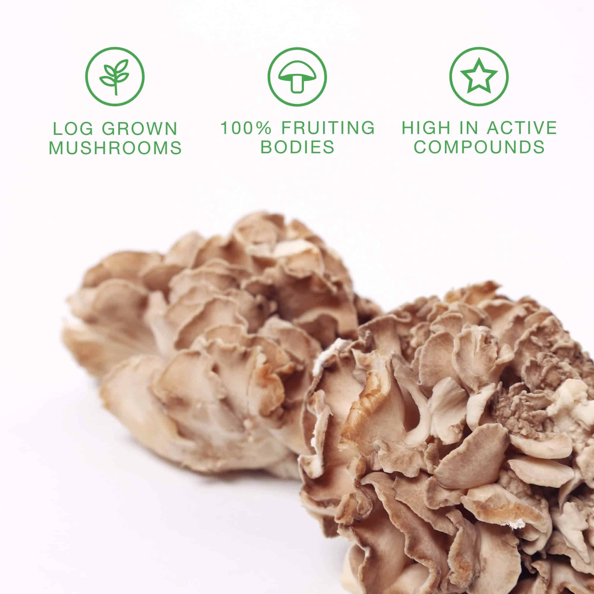 Multi Mushroom: Ultimate Blend Gummies